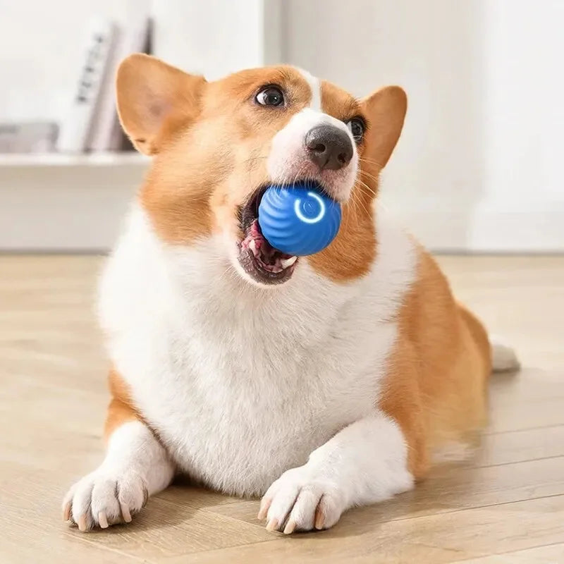 Bola Inteligente Eletrônica – Diversão Automática para Seu Pet!